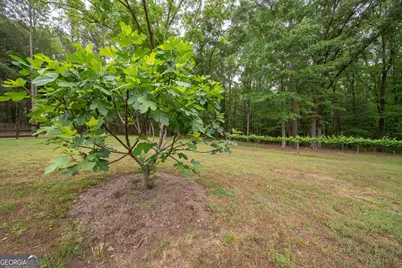 4200 Ga Hwy 85 E, Manchester, GA 31816 - Photo 53