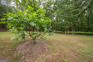 4200 Ga Hwy 85 E, Manchester, GA 31816 - Photo 53