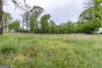0 Ga 301 Highway #LOT 2, Trenton, GA 30752 - Photo 5