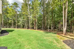164 Henderson Mill, Mansfield, GA 30055 - Photo 61