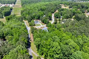 915 Magnolia Way, Hampton, GA 30228 - Photo 63