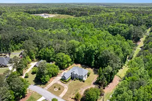 915 Magnolia Way, Hampton, GA 30228 - Photo 67