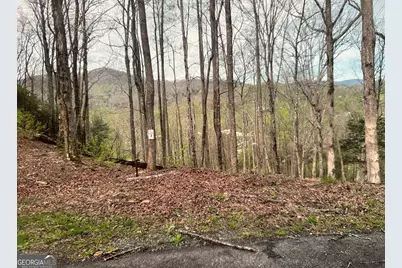 Lot 3 Buckhead Hills, Hiawassee, GA 30546 - Photo 1
