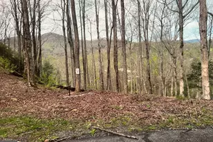 Lot 3 Buckhead Hills, Hiawassee, GA 30546 - Photo 1