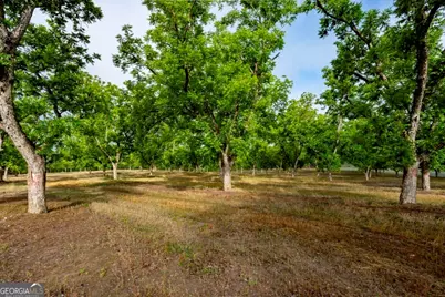 16505 Union Road, Metter, GA 30439 - Photo 9