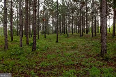 16505 Union Road, Metter, GA 30439 - Photo 7
