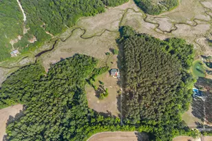 452 Joe Oglesby Rd, Portal, GA 30450 - Photo 43
