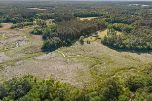 452 Joe Oglesby Rd, Portal, GA 30450 - Photo 51