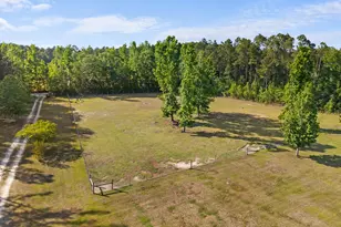 452 Joe Oglesby Rd, Portal, GA 30450 - Photo 45