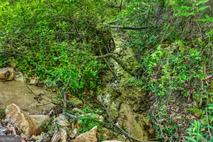 567 Shady Creek Rd, Toccoa, GA 30577 - Photo 63