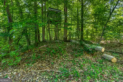 567 Shady Creek Road, Toccoa, GA 30577 - Photo 65