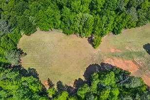 567 Shady Creek Rd, Toccoa, GA 30577 - Photo 69