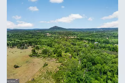 567 Shady Creek Road, Toccoa, GA 30577 - Photo 67
