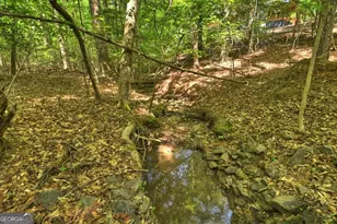 40 Cadet Ct, Ellijay, GA 30540 - Photo 67