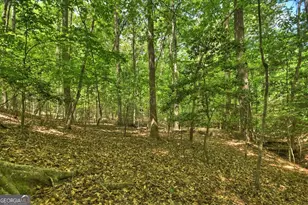 40 Cadet Ct, Ellijay, GA 30540 - Photo 69