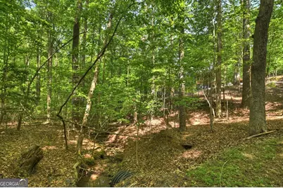 40 Cadet Court, Ellijay, GA 30540 - Photo 67