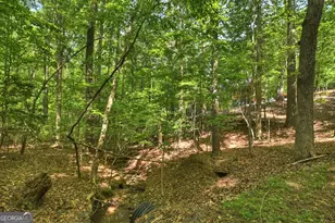 40 Cadet Ct, Ellijay, GA 30540 - Photo 67