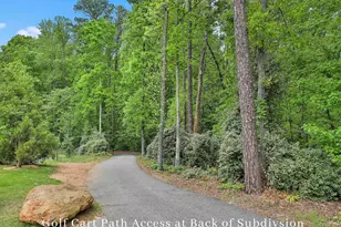 940 Laurel Brooke Ave, Peachtree City, GA 30269 - Photo 61