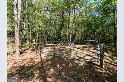 0 Wehunt Road, Monticello, GA 31064 - Photo 3