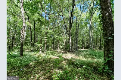 0 Wehunt Road, Monticello, GA 31064 - Photo 11