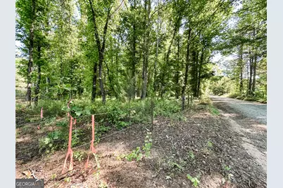 0 Wehunt Road, Monticello, GA 31064 - Photo 13