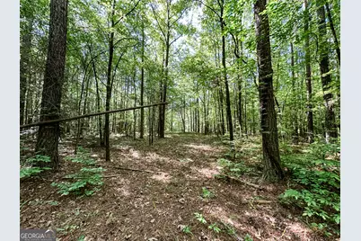 0 Wehunt Road, Monticello, GA 31064 - Photo 5