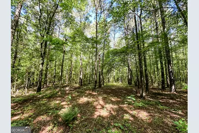 0 Wehunt Road, Monticello, GA 31064 - Photo 7