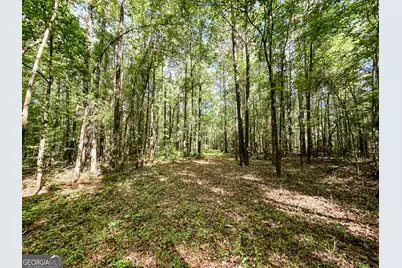 0 Wehunt Road, Monticello, GA 31064 - Photo 9