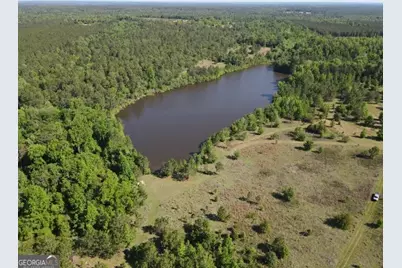 0 Bill Glenn Road, Swainsboro, GA 30401 - Photo 5