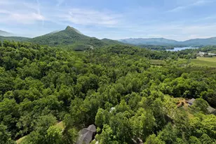 1903 Bell Eagle Dr, Hiawassee, GA 30546 - Photo 65