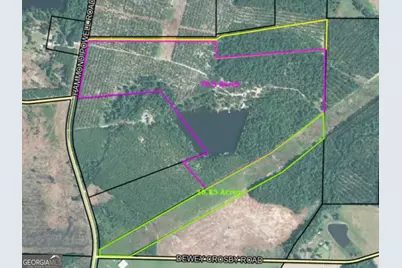 0 Hammond Powell Road, Hazlehurst, GA 31539 - Photo 1