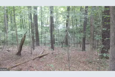 0 Woodduck Court, Monticello, GA 31064 - Photo 3