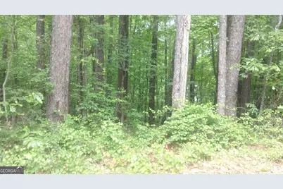 0 Woodduck Court, Monticello, GA 31064 - Photo 5