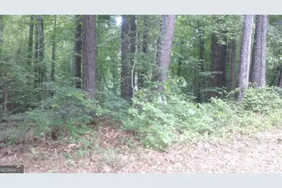 0 Woodduck Court, Monticello, GA 31064 - Photo 7