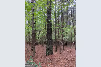 0 Mull Drive, Mineral Bluff, GA 30559 - Photo 1