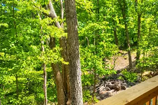 326 Skywood Ln, Cleveland, GA 30528 - Photo 19