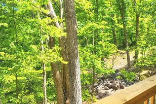 326 Skywood Ln, Cleveland, GA 30528 - Photo 19