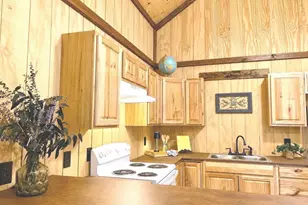 326 Skywood Ln, Cleveland, GA 30528 - Photo 9