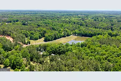 90 Todd Road, Senoia, GA 30276 - Photo 37