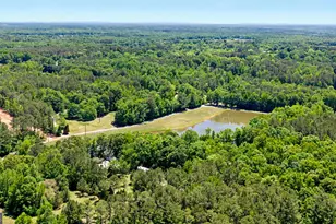 90 Todd Rd, Senoia, GA 30276 - Photo 37