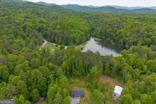65 Bay Ct, Ellijay, GA 30540 - Photo 35
