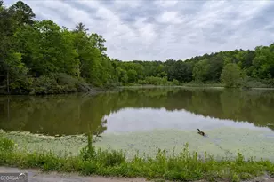65 Bay Ct, Ellijay, GA 30540 - Photo 41