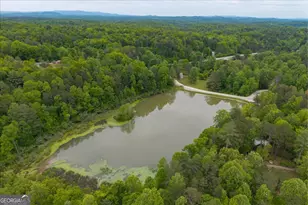65 Bay Ct, Ellijay, GA 30540 - Photo 41
