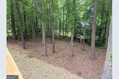 115 Richard Street, Clarkesville, GA 30523 - Photo 35