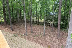 115 Richard St, Clarkesville, GA 30523 - Photo 35