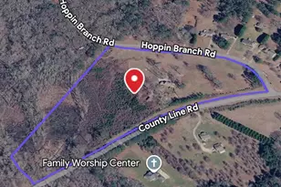 310 Hoppin Branch Rd, Griffin, GA 30224 - Photo 45