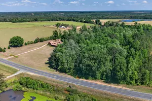 3472 Hwy 46, Soperton, GA 30457 - Photo 9