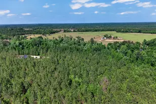 3472 Hwy 46, Soperton, GA 30457 - Photo 7
