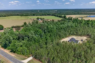 3472 Hwy 46, Soperton, GA 30457 - Photo 9
