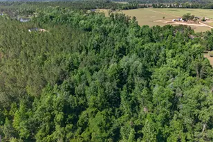 3472 Hwy 46, Soperton, GA 30457 - Photo 7